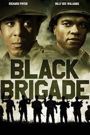 Brigada negra (